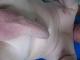 patetsyndie cherche une rencontre