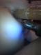 couple29ans cherche une rencontre
